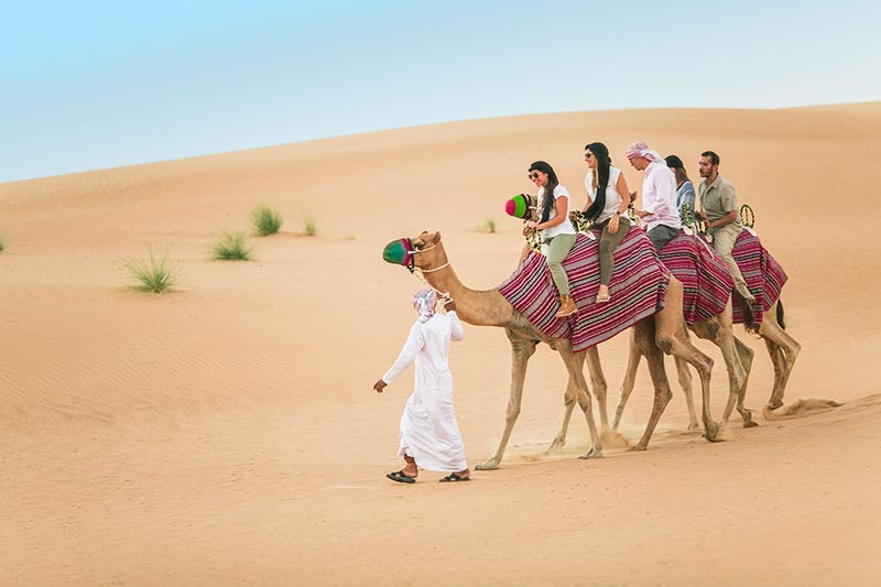 Cuỡi lạc đà sa mạc Sahara 