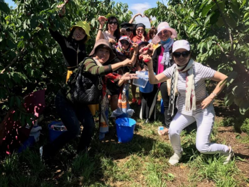Du khách tham quan tại nông trại 