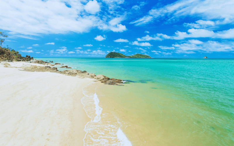 Bãi biển Palm Cove