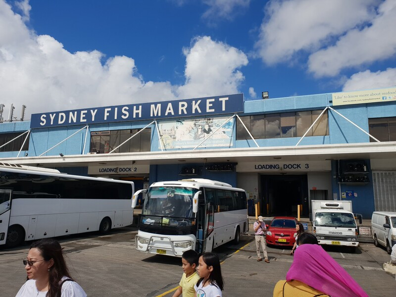 Chợ cá Sydney tấp nập người ra vào