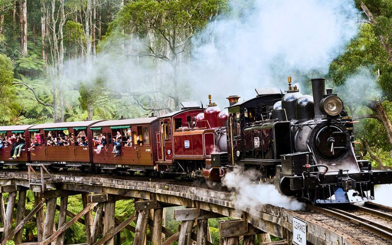 công viên Dandenong Ranges 