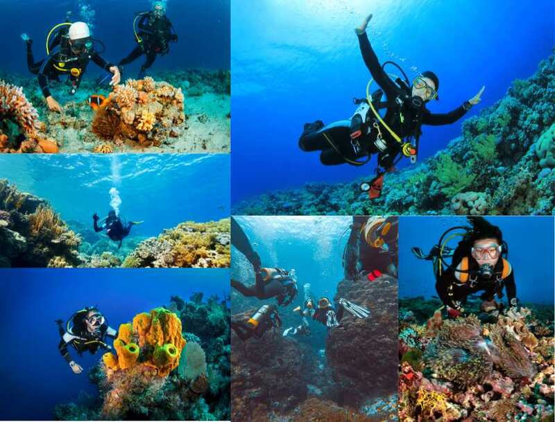 Lặn san hô dưới đại dương tuyệt đẹp