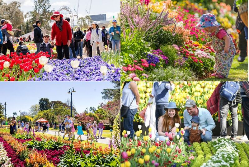 Lễ hội hoa Floriade - Bức tranh mùa xuân đầy sắc màu ở Canberra