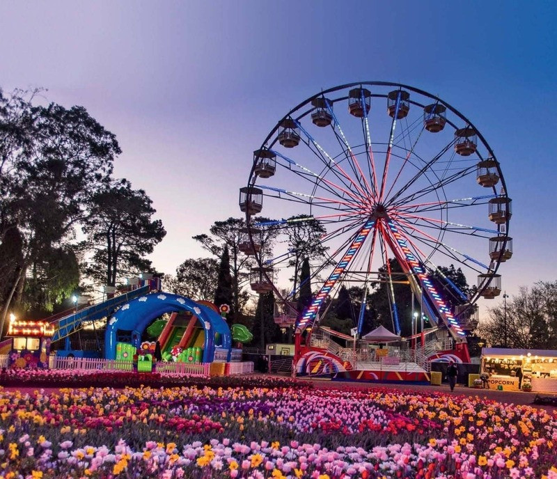 Lễ hội hoa đặc sắc hàng năm tại Canberra