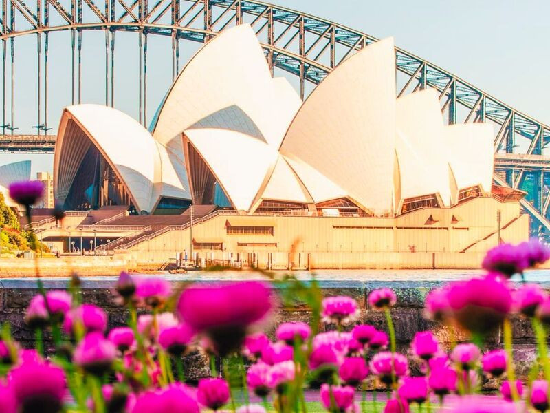 Mùa xuân nước Úc- Ghé thăm nhà hát Opera Sydney