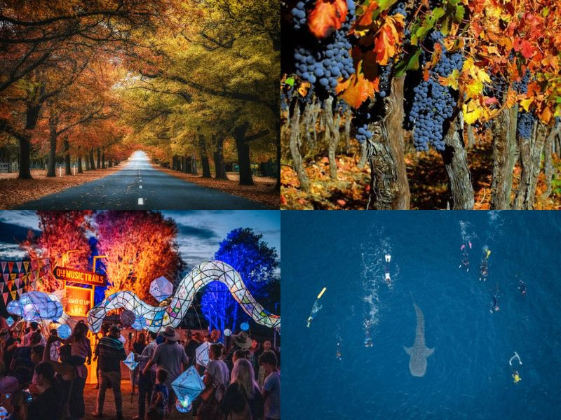 Úc tháng 4 mở ra nhiều trải nghiệm độc đáo cho du khách