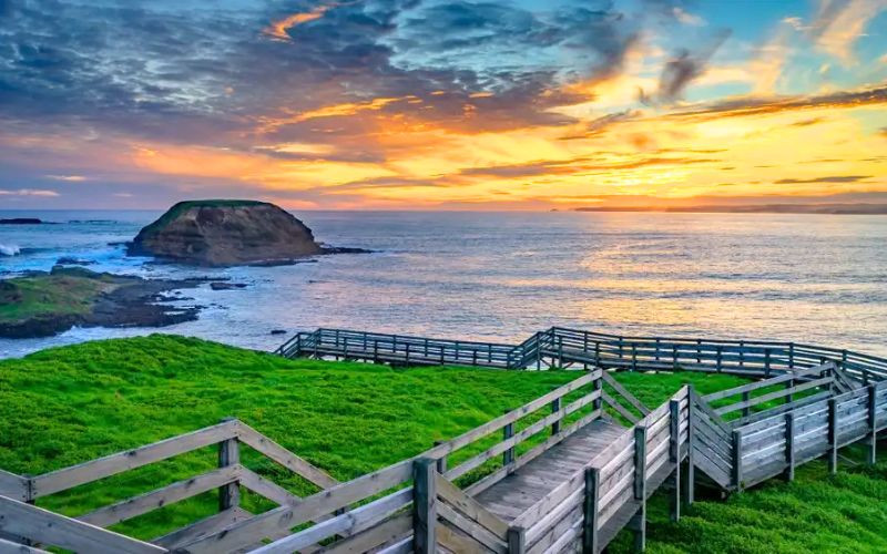 Phillip Island gây ấn tượng với hệ sinh thái đa dạng