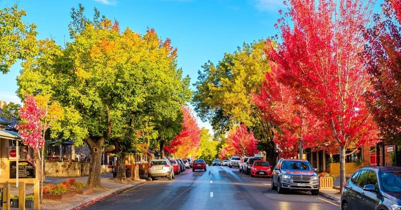 Sắc trời Úc cam đỏ lay động lòng người