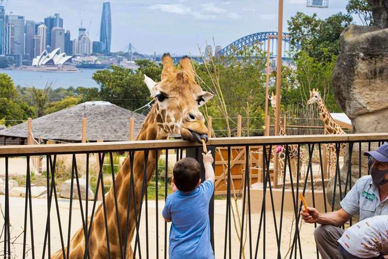 Du lịch Sydney tháng 3 ghé thiên đường hoang dã Taronga