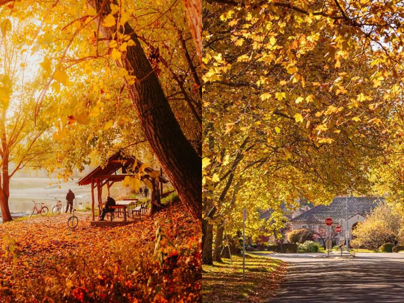 Du lịch Úc tháng 4 ghi điểm với thời tiết ôn hòa, cảnh thu dịu dàng và không quá đông khách