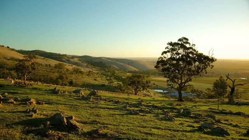 Tour Úc tháng 3 ghé thung lũng Barossa