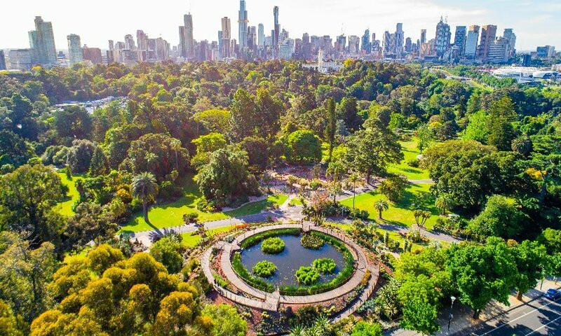 Sự nhẹ nhàng, yên bình tại vườn bách thảo Hoàng gia Melbourne