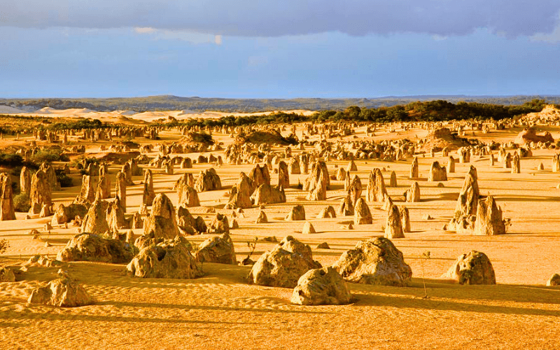 Vườn quốc gia Nambung