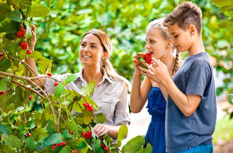 Vườn trái cây Bacchus Marsh