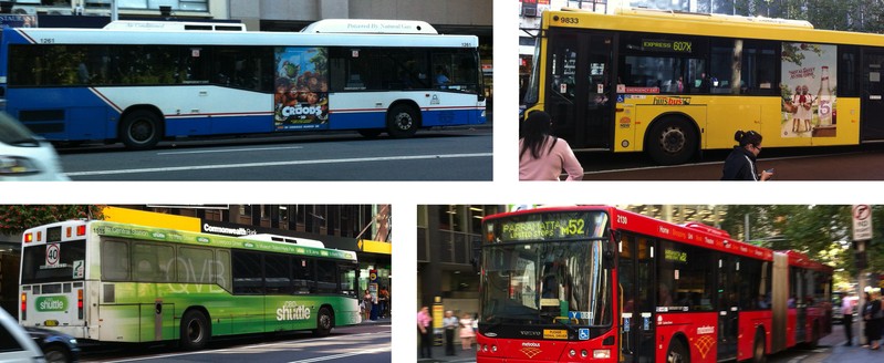 Xe buýt Sydney Buses - phương tiện di chuyển phổ biến tại Úc