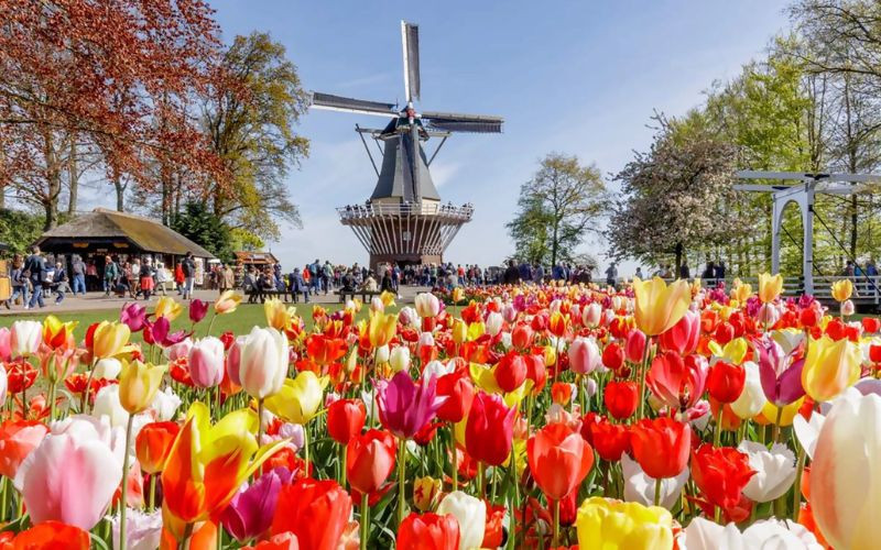 Keukenhof Molen