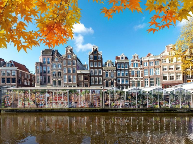 Chợ hoa nổi Bloemenmarkt tràn ngập sắc thu 