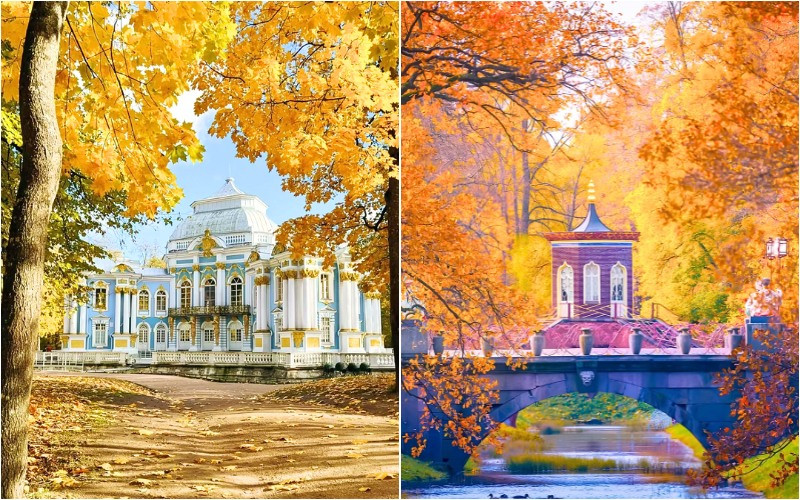 Rừng cây chuyển sắc vàng, cam và đỏ đặc trưng mùa thu 