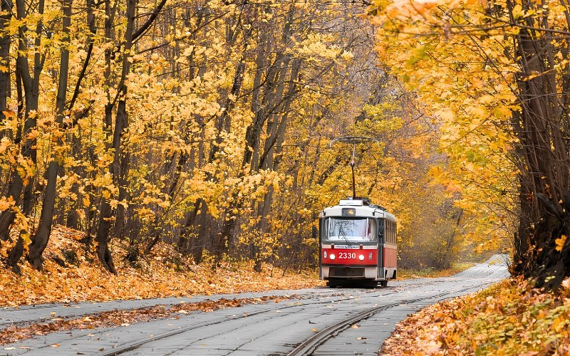 Sắc thu vàng phủ khắp công viên và đại lộ tại Moscow