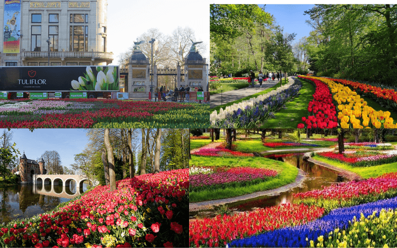 Lễ hội hoa Groot-Bijgaarden Lễ hội hoa Groot-Bijgaarden