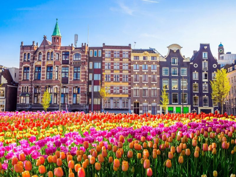 Lạc bước giữa thành phố Amsterdam