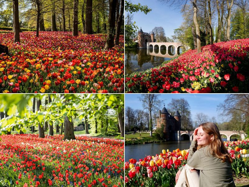 Điểm đến không thể thiếu khi đi châu Âu mùa xuân