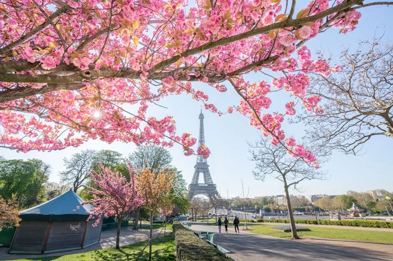 Ngắm nhìn Tháp Eiffel và tận hưởng không khí mùa xuân Paris, Pháp 