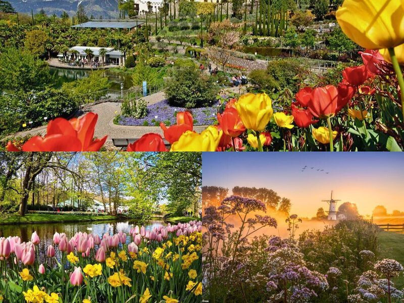 Khung cảnh mùa xuân Châu Âu Khung cảnh mùa xuân Châu Âu