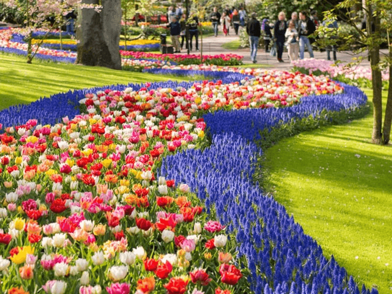 Vườn hoa Keukenhof Gardens Vườn hoa Keukenhof Gardens