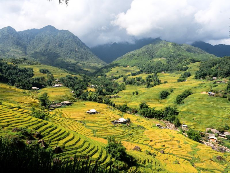 Khí hậu Sapa vào mùa vàng