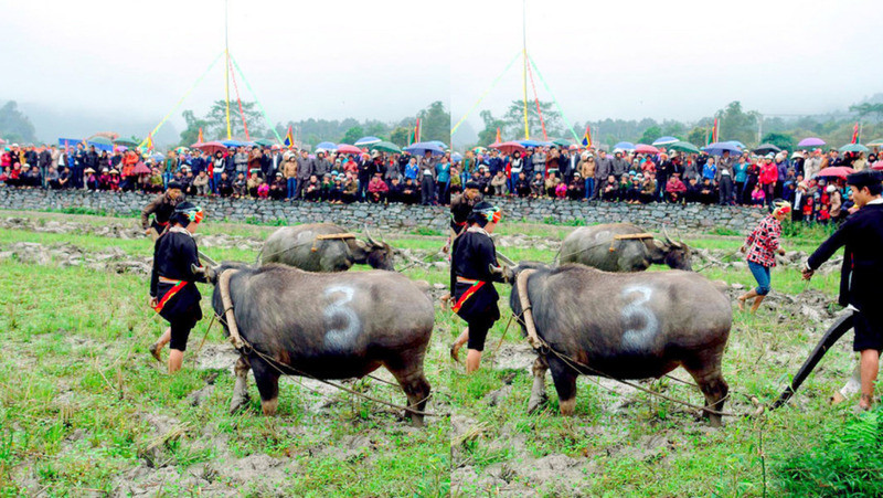 Lễ hội xuống đồng Sapa