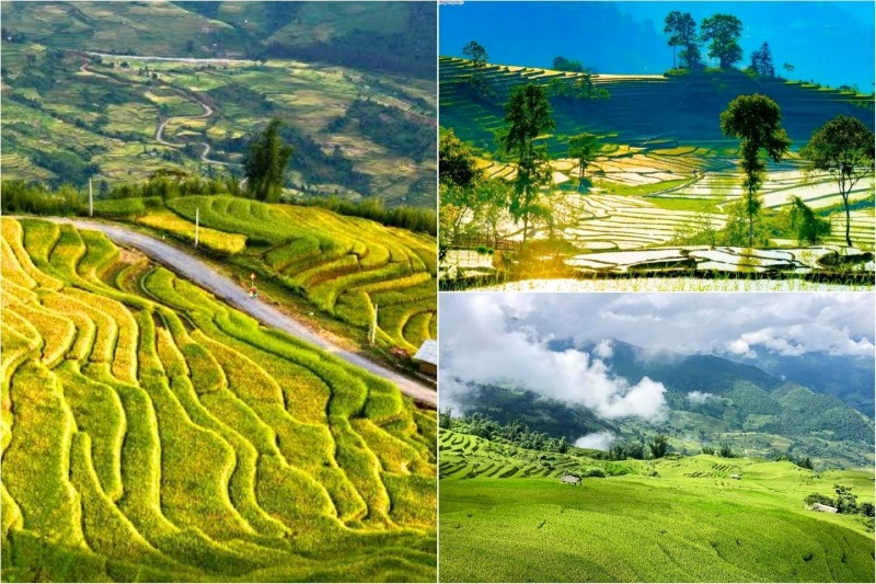 Chiêm ngưỡng ruộng bậc thang các mùa đẹp