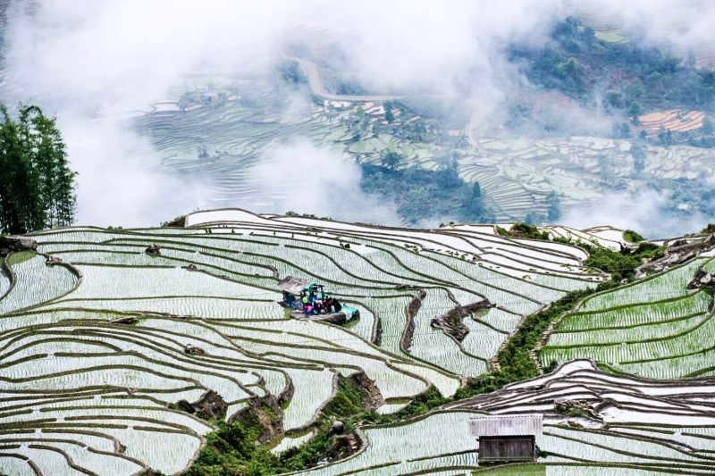Du lịch Y Tý chiêm ngưỡng ruộng bậc thang lung linh