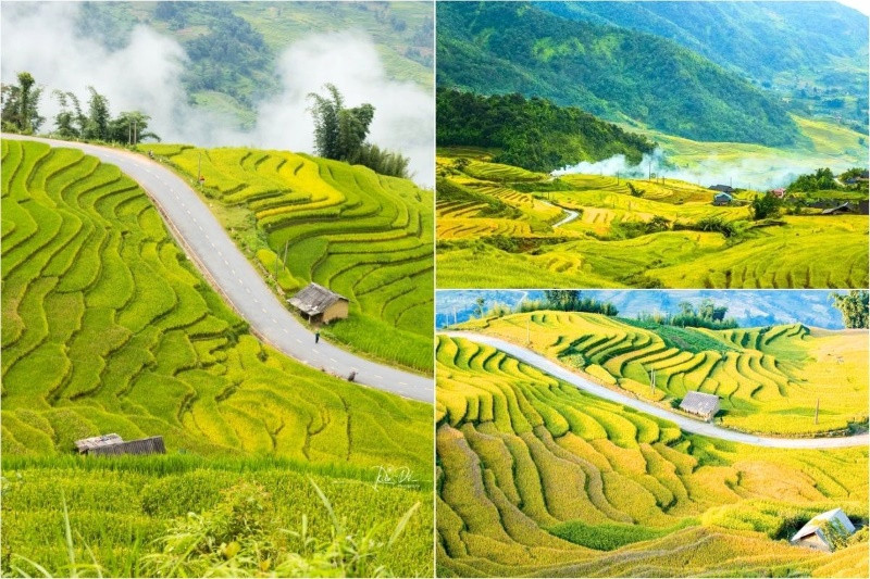 Săn mùa vàng trải dài trên núi