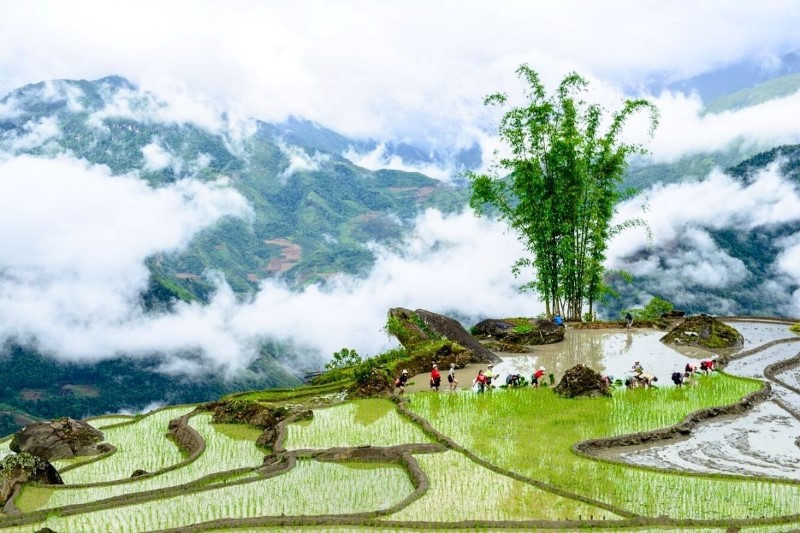 Tận hưởng khung cảnh núi rừng hùng vĩ