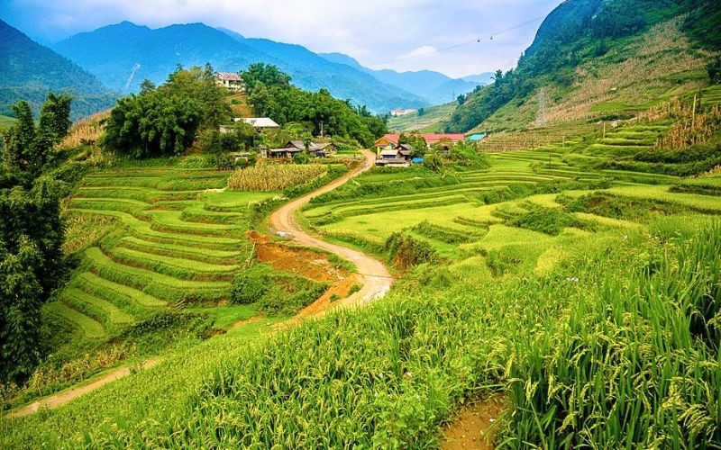 Bản làng Cát Cát mang vẻ đẹp bình dị của riêng nó