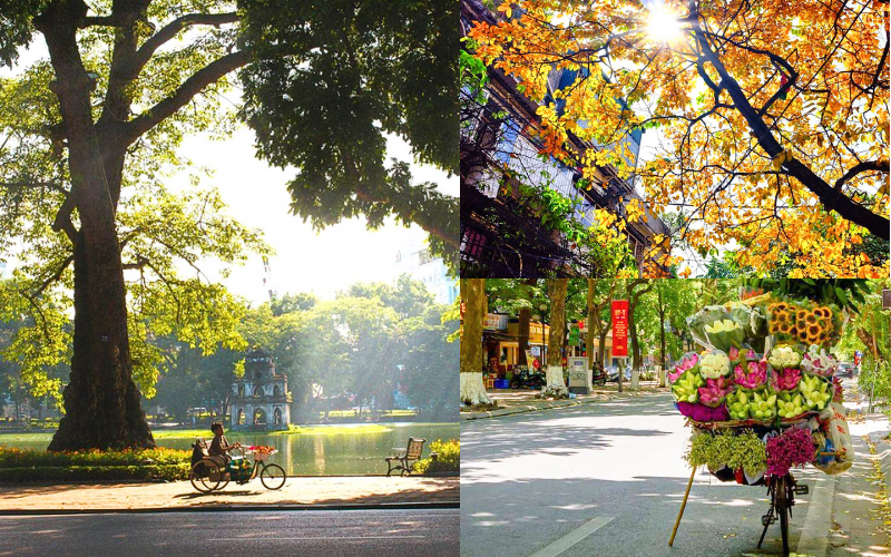 Khung cảnh Hà Nội trong sắc thu 