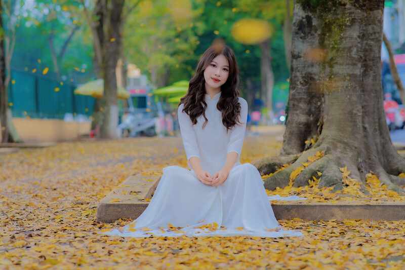 Thủ đô Hà Nội vào mùa lá vàng rơi