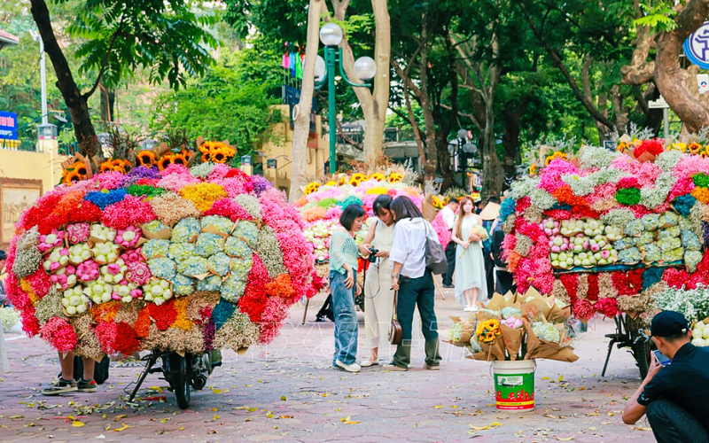 Phan Đình Phùng được nhuộm vàng sắc hoa cả con đường