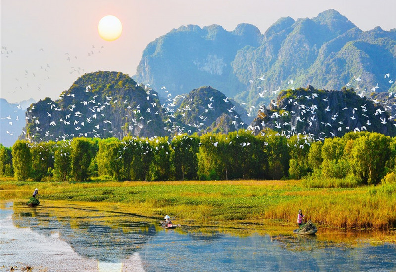 Vườn chim Thung Nham