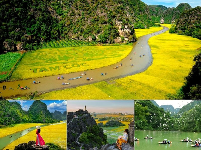 Ninh Bình vào hè - Bức tranh vàng giữa núi non 
