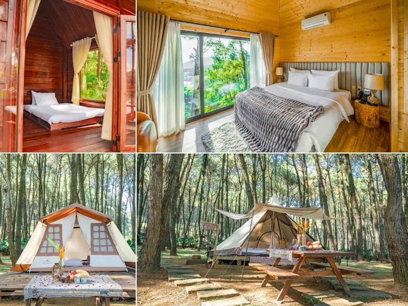  Green Pine Camp với đa dạng loại hình lưu trú nghỉ dưỡng cho bạn lựa chọn