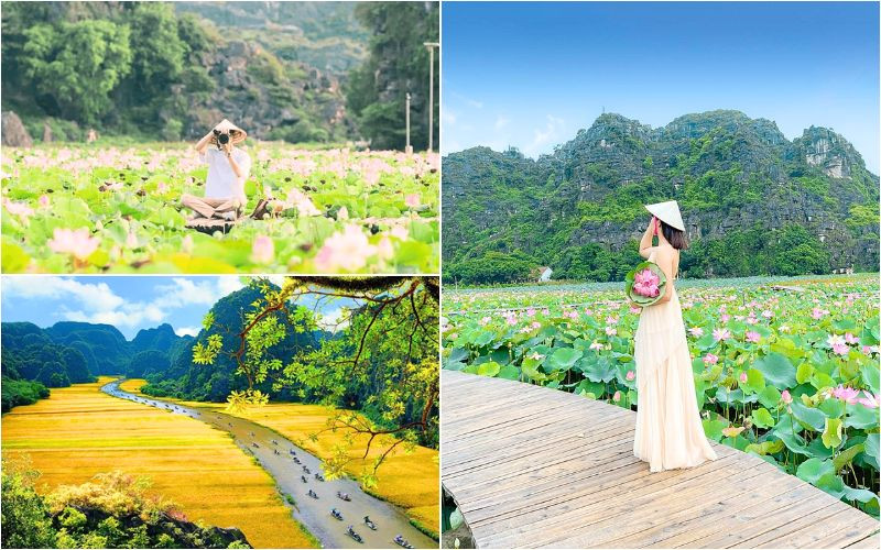 Mùa hè là lúc Ninh Bình đặc biệt nhất trong năm