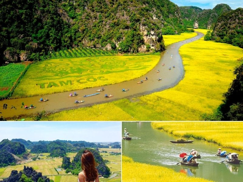 Đi tour Ninh Bình tháng 6 để ngắm mùa vàng Tam Cốc Đi tour Ninh Bình tháng 6 để ngắm mùa vàng Tam Cốc