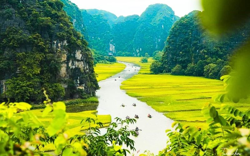 Những thửa ruộng vàng óng xen lẫn làng quê yên bình