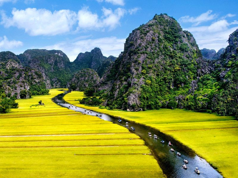 Tam Cốc mùa lúa chín đầy ấn tượng