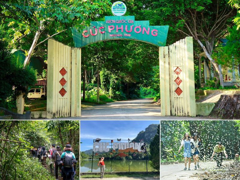 Cúc Phương - Nho Quan: Cung đường xanh mát giữa núi rừng và thiên nhiên hoang sơ Cúc Phương - Nho Quan: Cung đường xanh mát giữa núi rừng và thiên nhiên hoang sơ