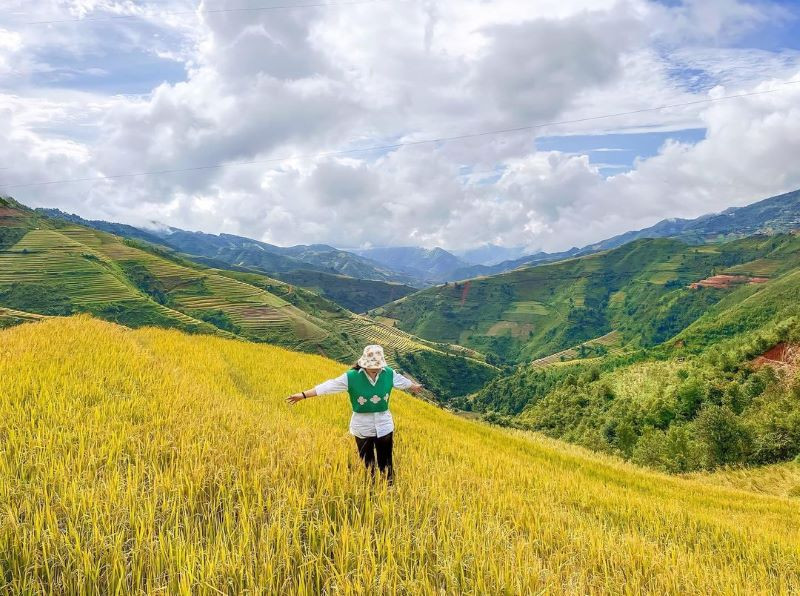 Mê mẩn mùa vàng ở Xím Vàng Sơn La