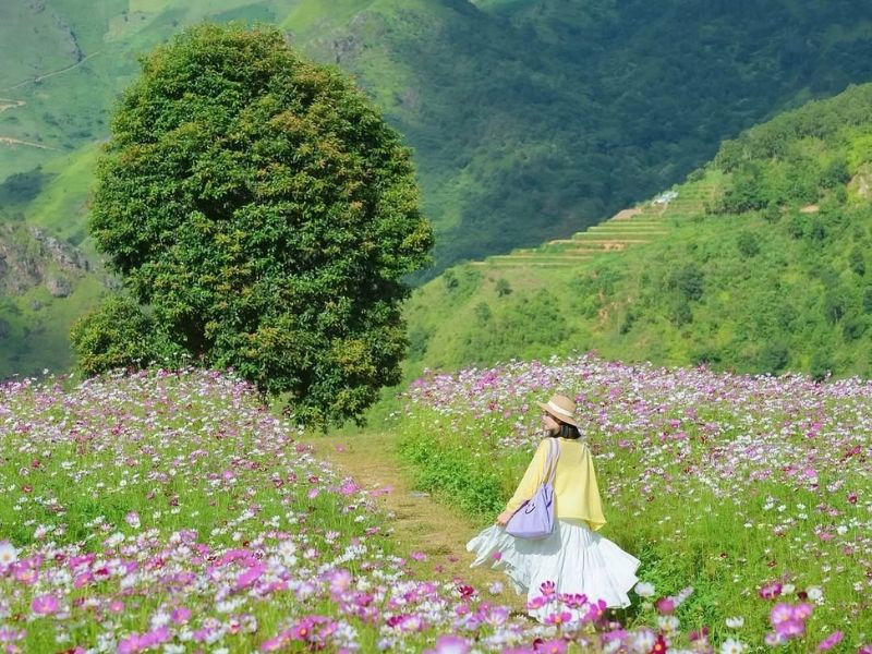 Ngắm cảnh núi rừng ở Tà Xùa (ảnh: sưu tầm) 
