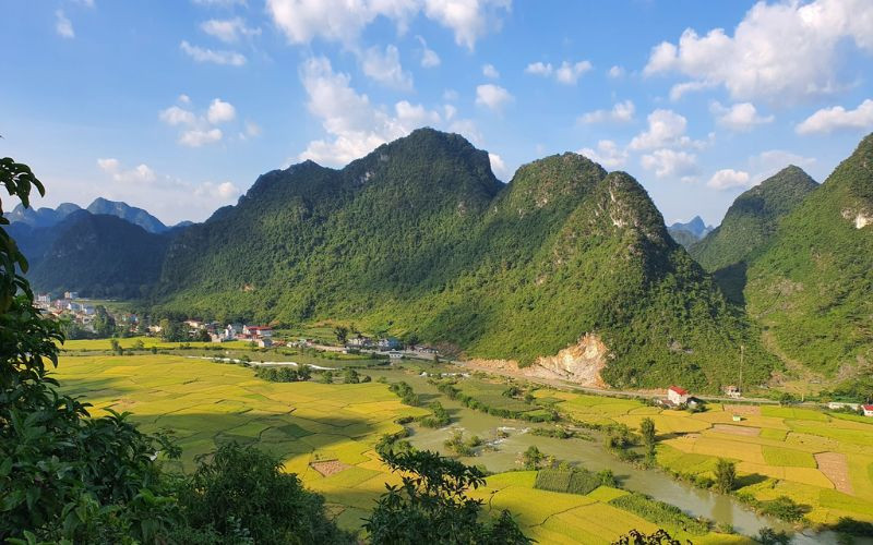 Ngọc Côn vào mùa lúa chín đầy sức sống